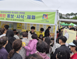 기사이미지